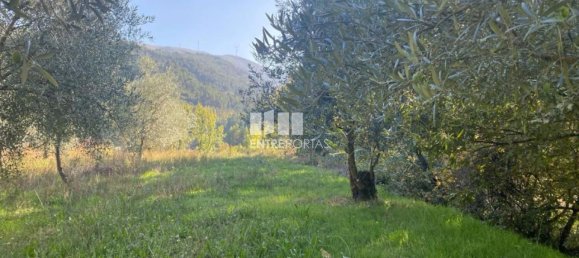 1260m² Land in Sao Cristovao de Nogueira, Portugal No. 55612 29