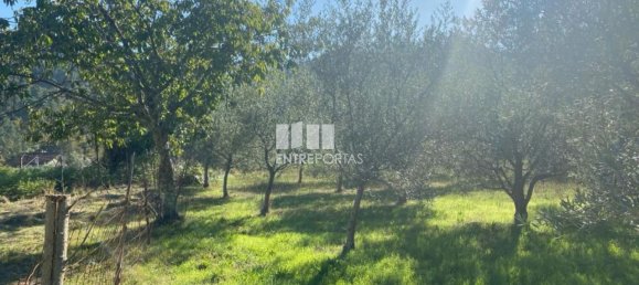 1260m² Land in Sao Cristovao de Nogueira, Portugal No. 55612 23