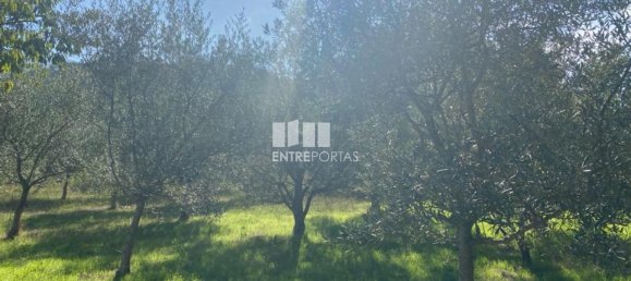 1260m² Land in Sao Cristovao de Nogueira, Portugal No. 55612 28