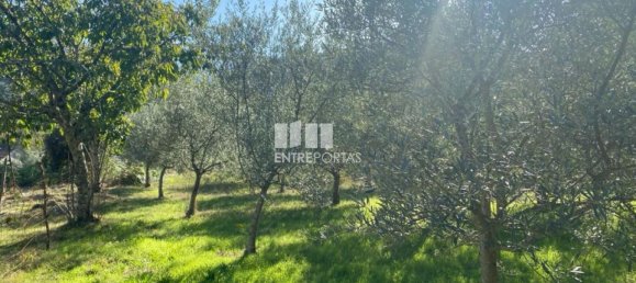 1260m² Land in Sao Cristovao de Nogueira, Portugal No. 55612 20