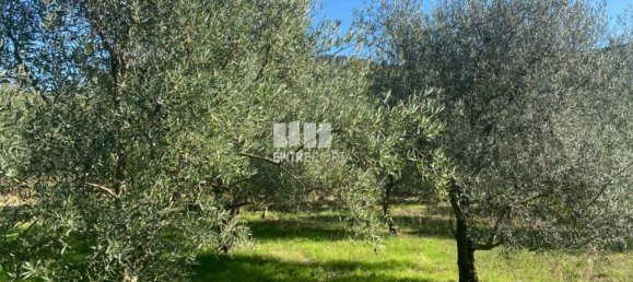 1260m² Land in Sao Cristovao de Nogueira, Portugal No. 55612 3