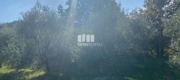 1260m² Land in Sao Cristovao de Nogueira, Portugal No. 55612 6