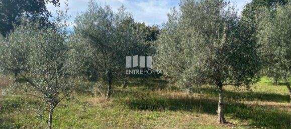 1260m² Land in Sao Cristovao de Nogueira, Portugal No. 55612 13