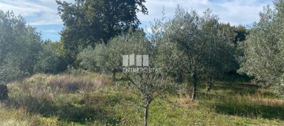 1260m² Land in Sao Cristovao de Nogueira, Portugal No. 55612 14
