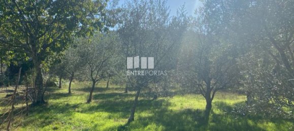 1260m² Land in Sao Cristovao de Nogueira, Portugal No. 55612 2