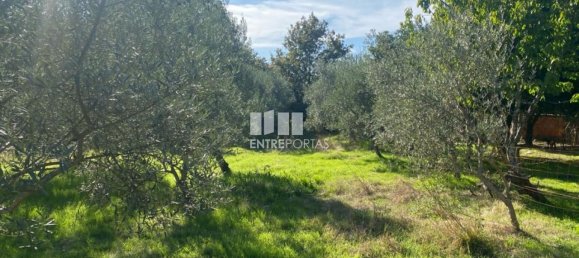 1260m² Land in Sao Cristovao de Nogueira, Portugal No. 55612 17