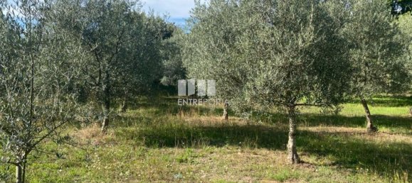 1260m² Land in Sao Cristovao de Nogueira, Portugal No. 55612 11