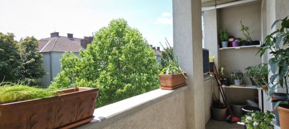 3 rooms Apartment in Neufeld an der Leitha, Austria No. 151235 12