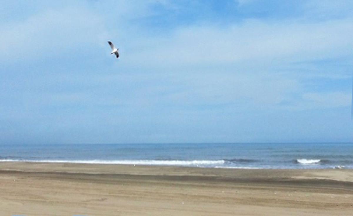  Land in Mar del Plata, Argentina No. 121848