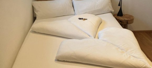 Таунхаус с 7 комнатами в Pfaffenhofen an der Ilm, Германия № 338310 21