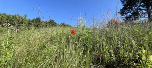 Terreno en Klosterneuburg, Austria No. 131809 2