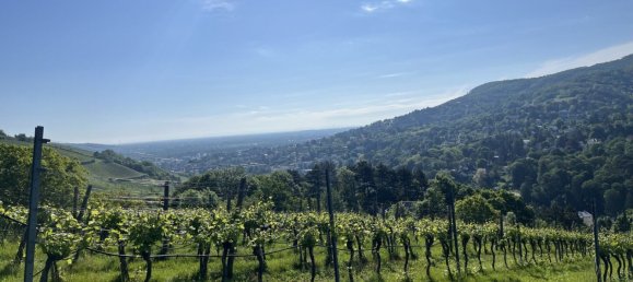 Terreno en Klosterneuburg, Austria No. 131809 22