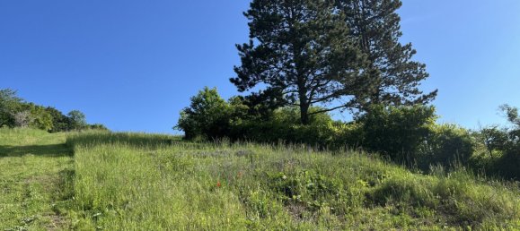 Terreno en Klosterneuburg, Austria No. 131809 20