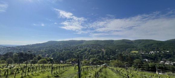 Terreno en Klosterneuburg, Austria No. 131809 8