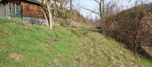 Земельный участок в Цвиккау, Германия № 179751 2