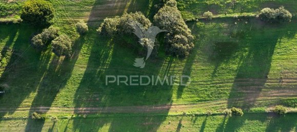 Grundstück in Sines, Portugal 42000m², Nr. 96862 11