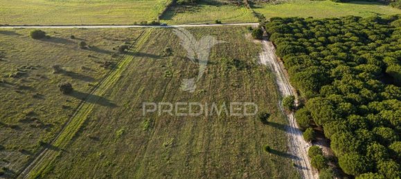 Grundstück in Sines, Portugal 42000m², Nr. 96862 5