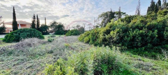 2974m² Land in Guia, Portugal No. 120855 4