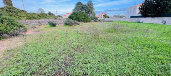 2974m² Land in Guia, Portugal No. 120855 3