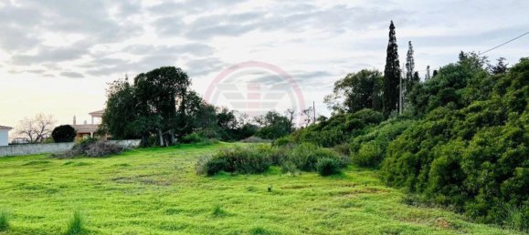 2974m² Land in Guia, Portugal No. 120855 12