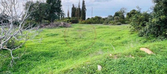 2974m² Land in Guia, Portugal No. 120855 6