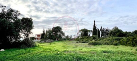 2974m² Land in Guia, Portugal No. 120855 9