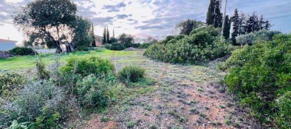 2974m² Land in Guia, Portugal No. 120855 11