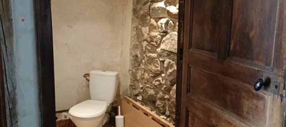 1 Schlafzimmer Haus in Saint-Jean-d'Herans, France, Nr. 264635 8