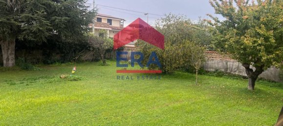 7-salle Villa à Nettuno, Italy No. 8816 2