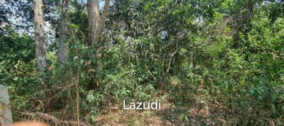 Propiedad comercial en Sattahip, Thailand 2540 m² No. 15392 10