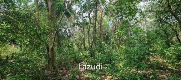 Propiedad comercial en Sattahip, Thailand 2540 m² No. 15392 7