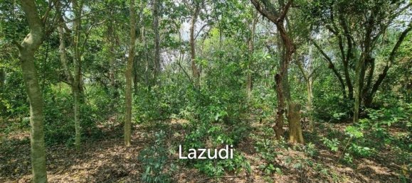 Propiedad comercial en Sattahip, Thailand 2540 m² No. 15392 5