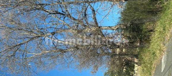 Villa T8 em Lauria, Italy N.º 41567 24