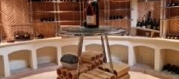 Замки и поместья с 9 спальнями в Куллон, Франция № 252481 29