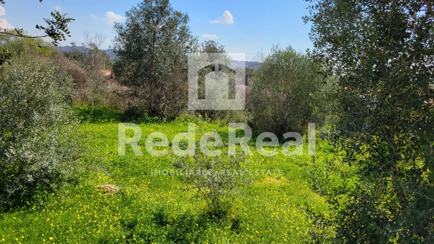  Land in Silves, Portugal No. 300886