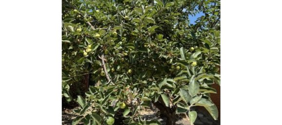 3 chambres Maison à Madrid, Spain No. 189063 26