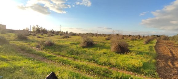 Grundstück in Gallipoli, Italy 16000m², Nr. 176696 7