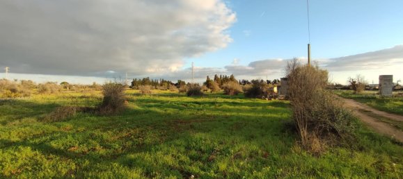 Grundstück in Gallipoli, Italy 16000m², Nr. 176696 11