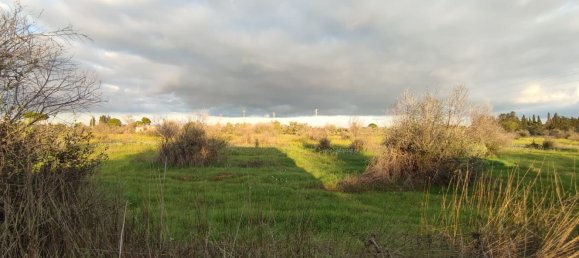 Grundstück in Gallipoli, Italy 16000m², Nr. 176696 9