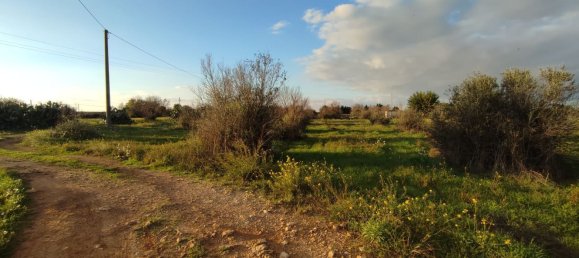 Grundstück in Gallipoli, Italy 16000m², Nr. 176696 10