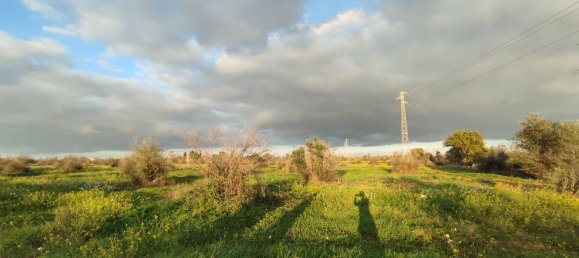 Grundstück in Gallipoli, Italy 16000m², Nr. 176696 8