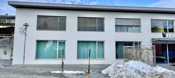 Propiedad comercial en Waldkirchen am Wesen, Austria 105 m² No. 129379 17