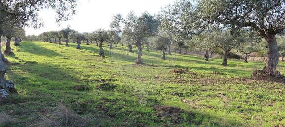 1 Schlafzimmer Haus in Vila Velha de Rodao, Portugal, Nr. 62577 2