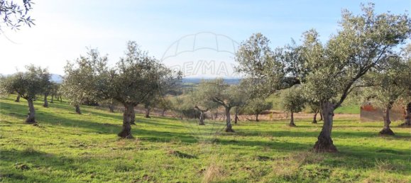 1 Schlafzimmer Haus in Vila Velha de Rodao, Portugal, Nr. 62577 9