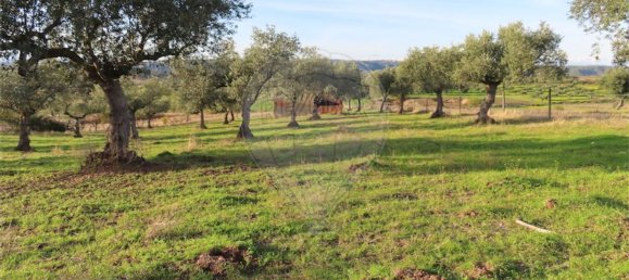 1 Schlafzimmer Haus in Vila Velha de Rodao, Portugal, Nr. 62577 3