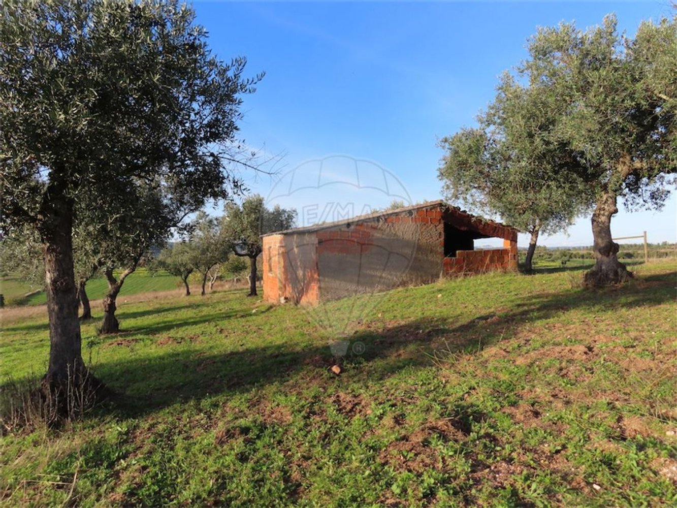 1 Schlafzimmer Haus in Vila Velha de Rodao, Portugal, Nr. 62577