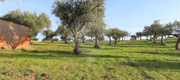 1 Schlafzimmer Haus in Vila Velha de Rodao, Portugal, Nr. 62577 6