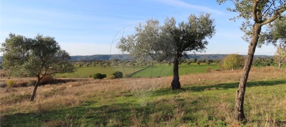 1 Schlafzimmer Haus in Vila Velha de Rodao, Portugal, Nr. 62577 8