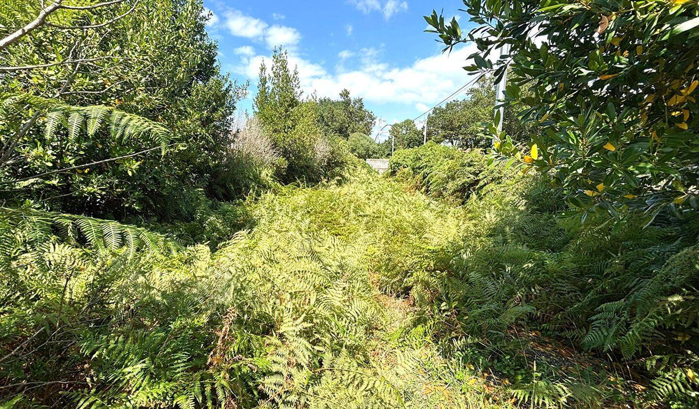 Grundstück in Labenne, France, Nr. 310413