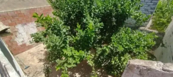 5 chambres Maison à Malaga, Spain No. 138169 14